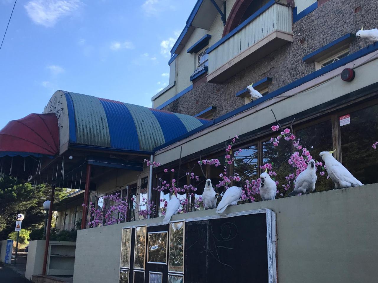 The Clarendon Motel Katoomba Esterno foto